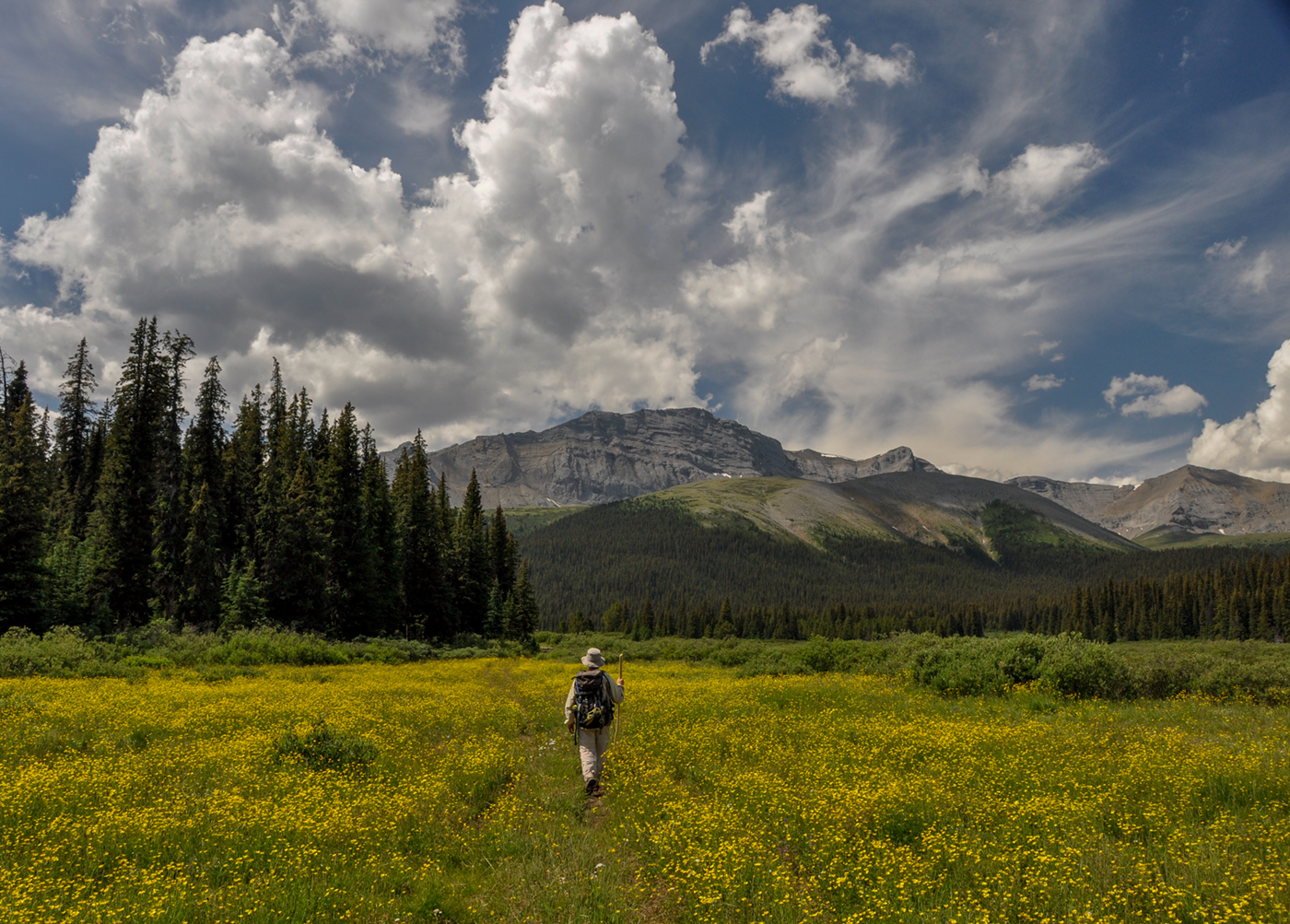 Willmore Wilderness Park, Rocky Mountains, Alberta, Canada